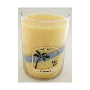   Wax Candles   Romance   Nature Scented Two Wick Jars 15 oz 70 Hours