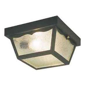   Black Finish 2Lt Poly Ceiling Fixture with Clear Textured Glass Panels