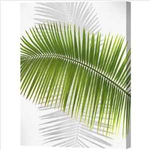  Menaul Fine Art FL1 001 Green Palm Frond Limited Edition 