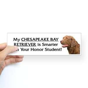 Chesapeake Bay Retriever   Honor Student   Sticker Pets 