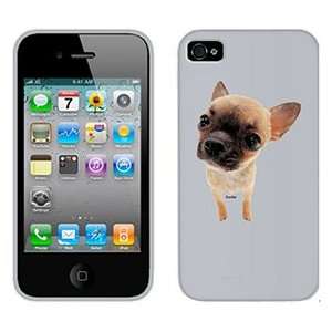  Chihuahua Puppy on Verizon iPhone 4 Case by Coveroo  
