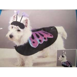  Casual Canine Flutter Pup Butterfly Costume Xsm Pet 