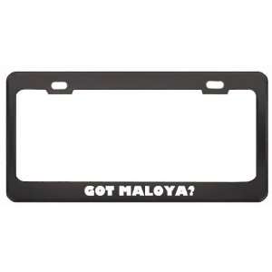Got Maloya? Music Musical Instrument Black Metal License Plate Frame 