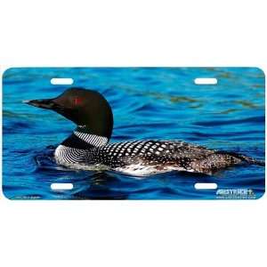  293 Loon Duck License Plates Car Auto Novelty Front Tag 