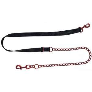   Nylon Dog Leash in Candy Apple Red (Small, 59 ½ Long 3/4 Wide) Pet