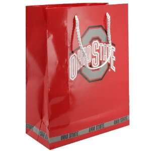  Ohio State Buckeyes Scarlet Team Logo Large Gift Bag 