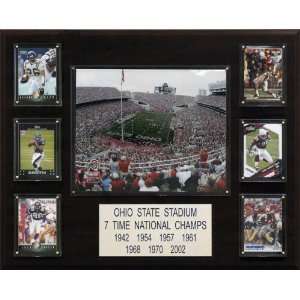  NCAA Football Ohio Stadium Plaque