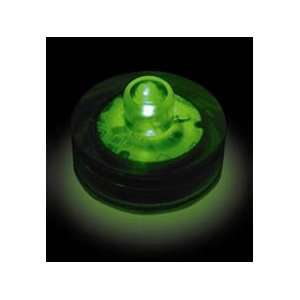  1 Unit Submersible Floralyte, Green