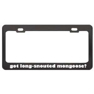 Got Long Snouted Mongoose? Animals Pets Black Metal License Plate 