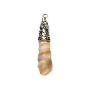  Sea Shell Spiral Silver Capped Pendant with Cable Choker 