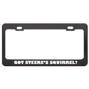 Got SteereS Squirrel? Animals Pets Black Metal License Plate Frame 