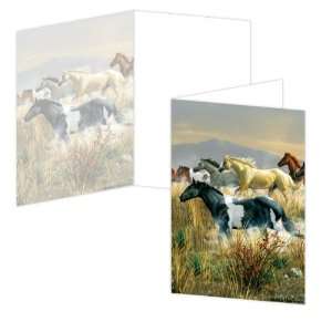  ECOeverywhere Band of Thunder Boxed Card Set, 12 Cards and 
