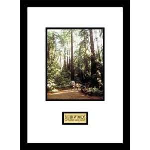   By Pro Tour Memorabilia Muir Woods National Monument