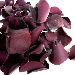  Freeze Dried Burgundy Rose Petals Toys & Games