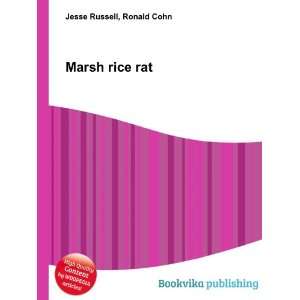  Marsh rice rat Ronald Cohn Jesse Russell Books