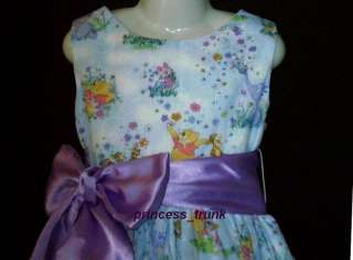 Disney Winnie the Pooh Embroidered Scenic Dress Deluxe  