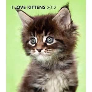  I Love Kittens 2012 Hardcover Engagement Calendar Office 