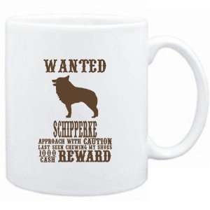    Wanted Schipperke   $1000 Cash Reward  Dogs