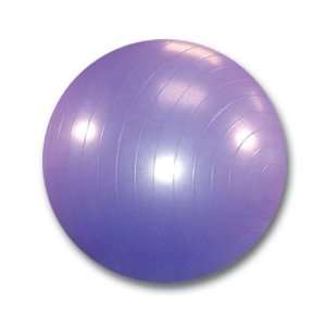  Burst Resistant Yoga/Exercise Balls with Pump Sports 