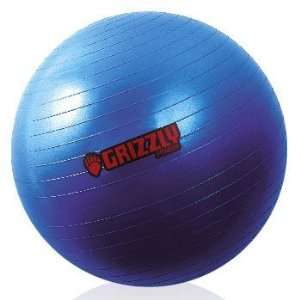  8100 27 21.7 Anti Burst Training Ball  Pack of 6