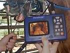   Equine Dental Inspection Endoscope Endoscopy DentaCam Horse Teeth