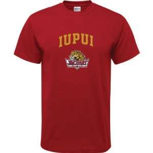 IUPUI Jaguars Cardinal Youth Arch Logo T Shirt  Sports 