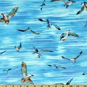   Michael Miller Seagulls Blue Fabric By The Yard Arts, Crafts & Sewing