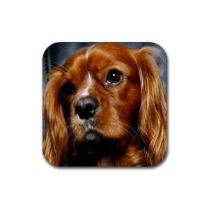  King Charles Spaniel 2 Rubber Coaster (4 pack) DD0712 