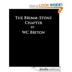 The Brimm Stone Chapter (The Brimm Stone Chronicles) [Kindle Edition]