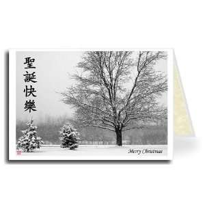 Chinese Greeting Card   Snowy Merry Christmas Health 