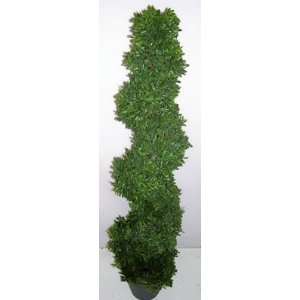 INDOOR/OUTDOOR Boxwood Spiral Topiary 