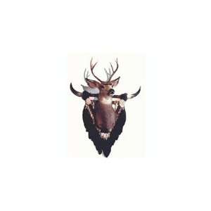  Deer Head And Horn Native American Mandella