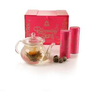 Teavana Blooming Zen Tea Gift Set Grocery & Gourmet Food