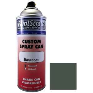  12.5 Oz. Spray Can of Greenstone Metallic Touch Up Paint 