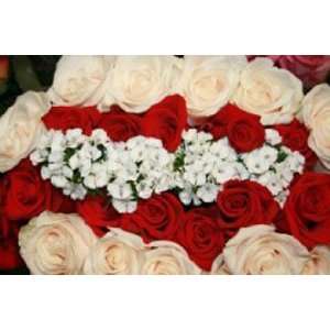 Bouquet of Roses 2 Dozen Roses Two Colors & Fillers 6 Top Secret 