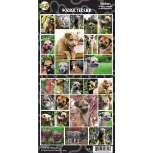  Border Terrier Sticker Sheet