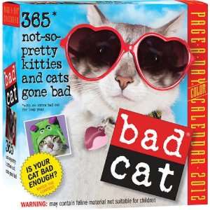  Bad Cat Page A Day 2012 Desk Calendar