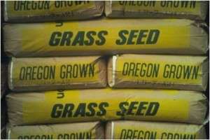 Sun & Shade Grass Lawn Turf Seed 50lb bag  