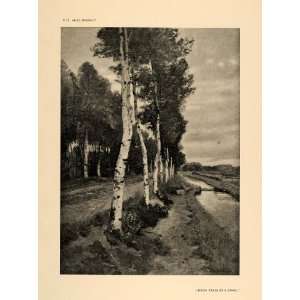  1906 Hugo Darnaut Birch Trees Canal Landscape Print 