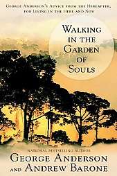 Walking in the Garden of Souls (Paperback)  