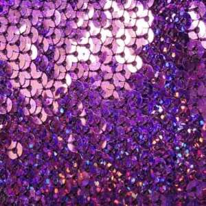  Hologram Stretch Sequins Mesh Fabric Purple