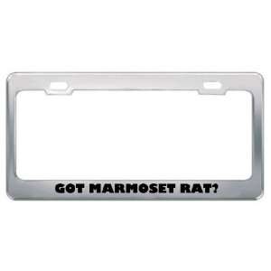 Got Marmoset Rat? Animals Pets Metal License Plate Frame Holder Border 
