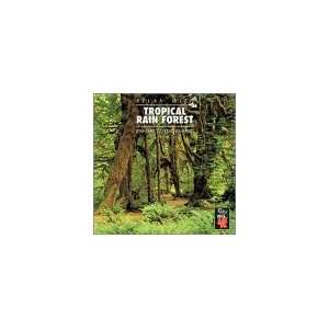  Tropical Rain Forest 1 Various Artists Music