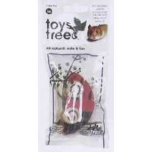  JW Pet Small Animal Chew Toy From Trees Bug Small 2 Pieces 