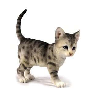  Kitten Standing With Raised Tail Patio, Lawn & Garden