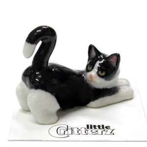  BLACK & WHITE CAT Chessie w tail up looks back Kitten 