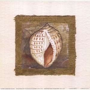 Conch Shell by Charlene Winter Olson 6x6 