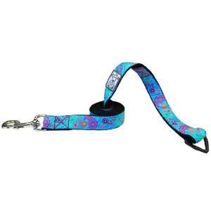   Products Dog Leash, 1 Inch by 6 Feet, Tropical Paisley