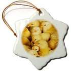 3dRose LLC Farm Animals   Baby Chicks   Ornaments