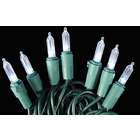 Sienna Set of 100 Cool White LED Mini Christmas Lights   Green Wire
